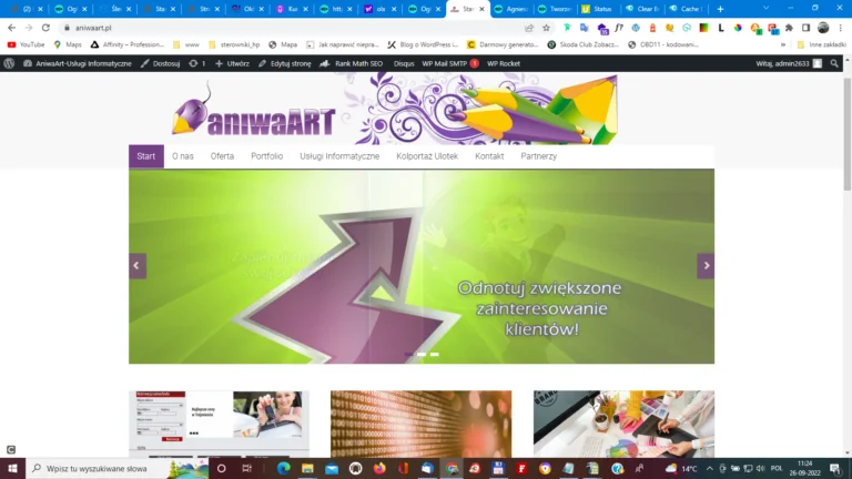 Realizacja AniwAart — AniwAart — pierwsza witryna